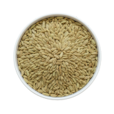 Fennel Seeds